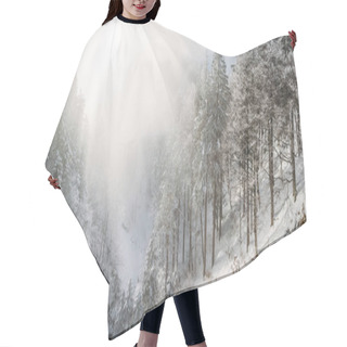 Personality  Snowy Hair Cutting Cape