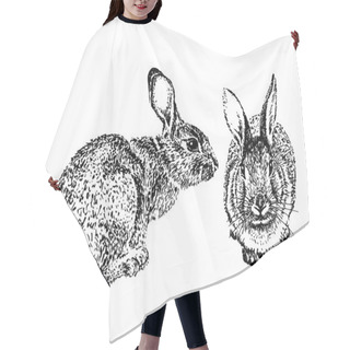 Personality  Engraving Rabbits. Vector Illustration Hair Cutting Cape