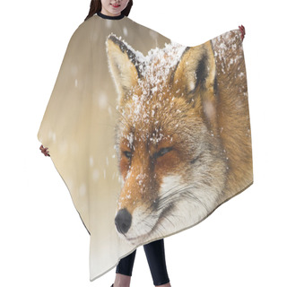 Personality  Red Fox In A Winter  Hair Cutting Cape