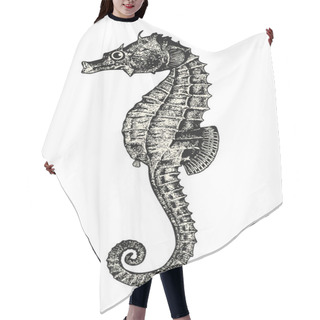Personality  Vintage Animal Engraving / Drawing: Seahorse Or Hippocampus - Ocean Vector Design Element Hair Cutting Cape