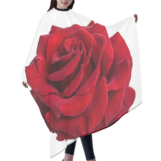 Personality  Rose Isolated On White Background Hair Cutting Cape