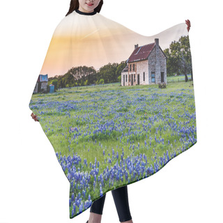 Personality  Abandoned Old House In Texas Wildflowers At Sunset. Hair Cutting Cape