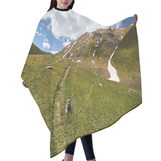 Personality  Beautiful Landscape Of Mountains Hair Cutting Cape