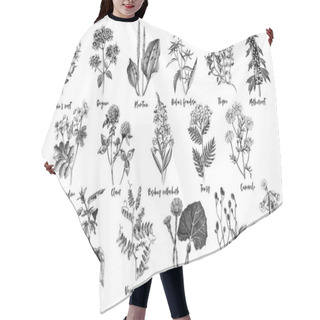 Personality  Hand Drawn Monochrome Set Of Medicinal Herbs Hair Cutting Cape