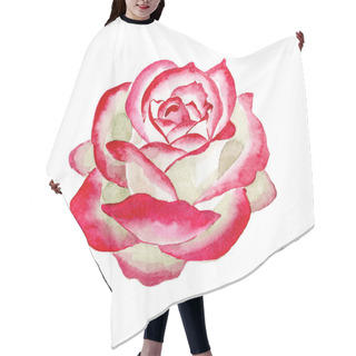 Personality  White-red Rose. Floral Botanical Flower. Wild Spring Leaf Wildflower Isolated. Hair Cutting Cape