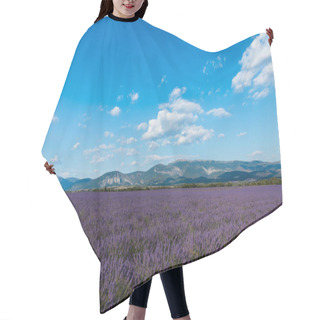Personality  Beautiful Blooming Lavender Flowers And Distant Mountains In Provence, France  Hair Cutting Cape