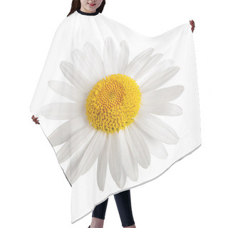 Personality  White Daisy Hair Cutting Cape
