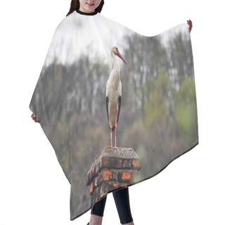 Personality  White Stork On Chimney Hair Cutting Cape