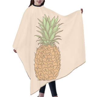 Personality  Hand Drawn Whole, Uncut Pineapple, Sketch Style Vector Illustration Isolated On Pale Pink Background. Fresh, Ripe Fruit, Side View. Hair Cutting Cape