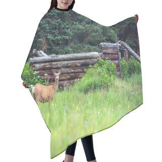 Personality  Elk And Old Cabin Hair Cutting Cape