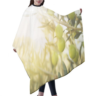 Personality  Old Olive Tree Hair Cutting Cape