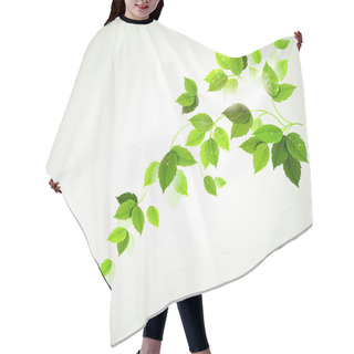 Personality  Summer Branch With Fresh Green Leaves Hair Cutting Cape