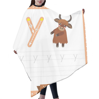 Personality  Letter Y Lowercase Cute Children Colorful Zoo And Animals ABC Alphabet Tracing Practice Worksheet Of Yak Standing On Two Legs For Kids Learning English Vocabulary And Handwriting Vector Illustration. Hair Cutting Cape