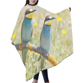 Personality  Couple Of Birds Hair Cutting Cape