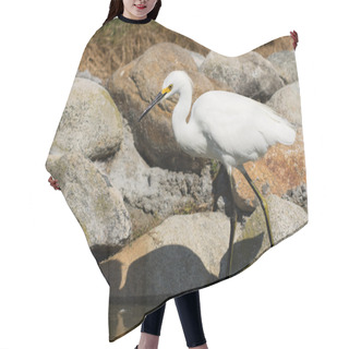 Personality  Snowy Egret Hair Cutting Cape