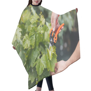 Personality  Gardener Cutting Leaves With Pruning Shears Hair Cutting Cape