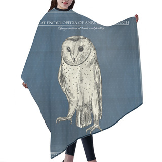 Personality  Vector Owl From Great Encyclopedia Of Animal Planet Earth On Blue Background Hair Cutting Cape