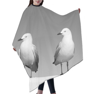 Personality  Seagulls Hair Cutting Cape