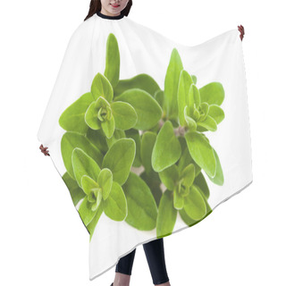Personality  Fresh Green Marjoram Plants Isolated On White Background Hair Cutting Cape
