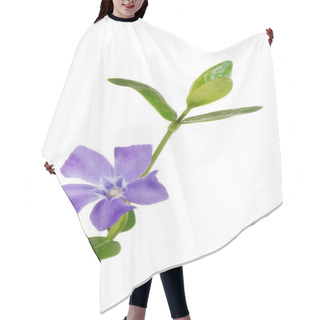 Personality  Isolated Periwinkle Flower Hair Cutting Cape