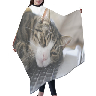 Personality  Cat Power Napping Hair Cutting Cape