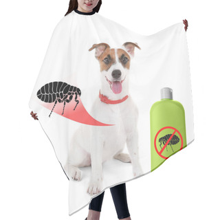 Personality  Puppy And Bottle Of Flea Shampoo Hair Cutting Cape