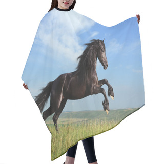 Personality  Beautiful Black Horse Playing On The Field Hair Cutting Cape