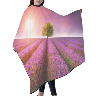 Personality  Stunning Lavender Field Landscape Summer Sunset With Single Tree Hair Cutting Cape