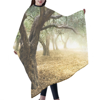 Personality  Old Olive Trees Hair Cutting Cape