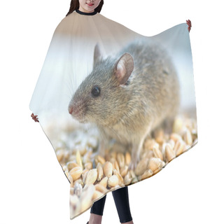 Personality  Mouse Hair Cutting Cape