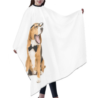 Personality  Yawning Dog In Eyeglasses  Hair Cutting Cape