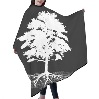 Personality  Isolated On Black Pine With Root Hair Cutting Cape