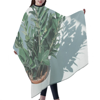 Personality  Potted Plant In White Vase Hair Cutting Cape