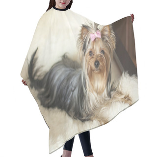 Personality  Yorkie On Deer Leather Hair Cutting Cape