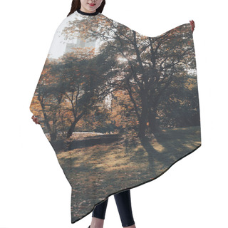 Personality  Trees And Lawn In Daytime In Central Park Of New York City Hair Cutting Cape