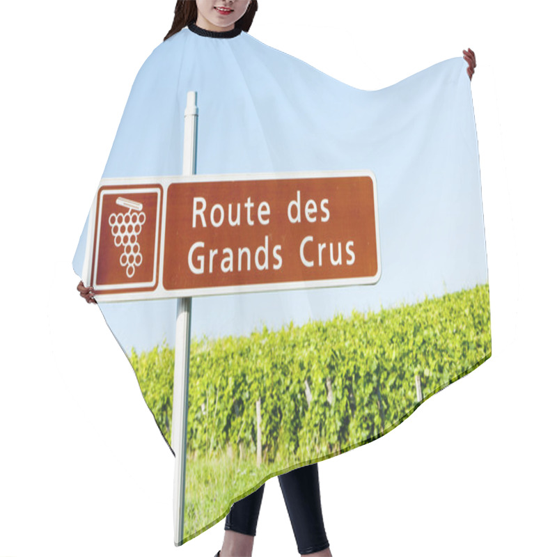 Personality  Wine route, Burgundy, France hair cutting cape