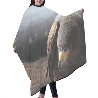Personality  Bald Eagle Flying Over Mountains Hair Cutting Cape