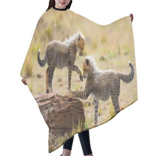 Personality  Playing Cubs Cheetah Hair Cutting Cape