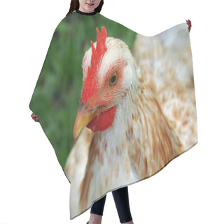 Personality  Free Range Chicken Hair Cutting Cape