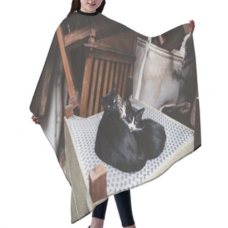Personality  Cats Hair Cutting Cape