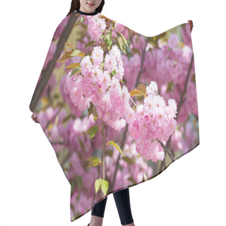 Personality  Blossom, Bloom, Flowering Hair Cutting Cape
