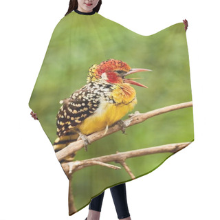 Personality  Red And Yellow Barbet Hair Cutting Cape