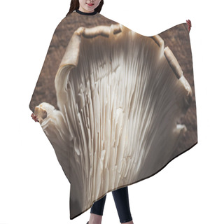 Personality  Close Up View Of Raw Fresh Mushroom On Textured Wooden Background Hair Cutting Cape