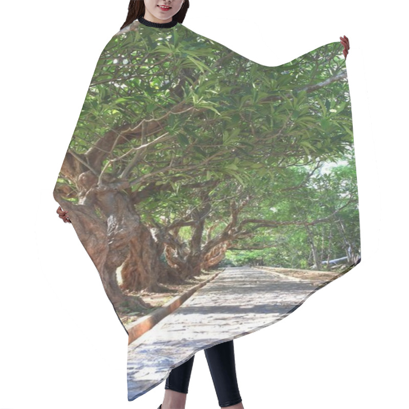Personality  Green Garden Trees Hair Cutting Cape