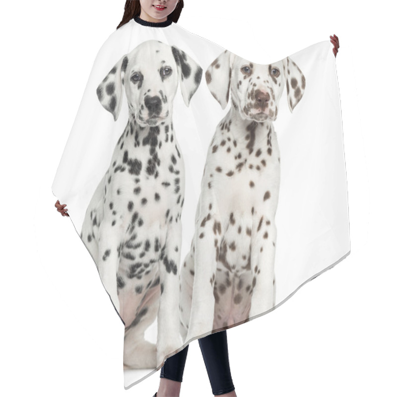 Personality  Front View Of Dalmatian Puppies Sitting, Facing, Isolated On Whi Hair Cutting Cape