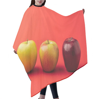 Personality  Row Of Three Ripe Multicolored Apples On Red Background Hair Cutting Cape