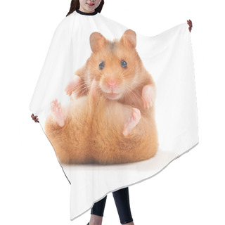 Personality  Funny Hamster Hair Cutting Cape