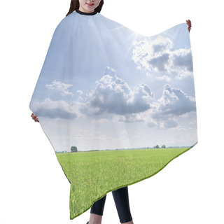Personality  Paddy Field Hair Cutting Cape