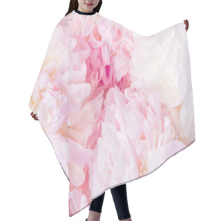 Personality  Romantic Banner, Delicate White Peonies Flowers Close-up. Fragrant Pink Petals Hair Cutting Cape