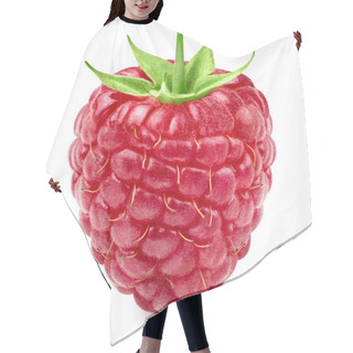Personality  Raspberry Leaf Isolated Hair Cutting Cape